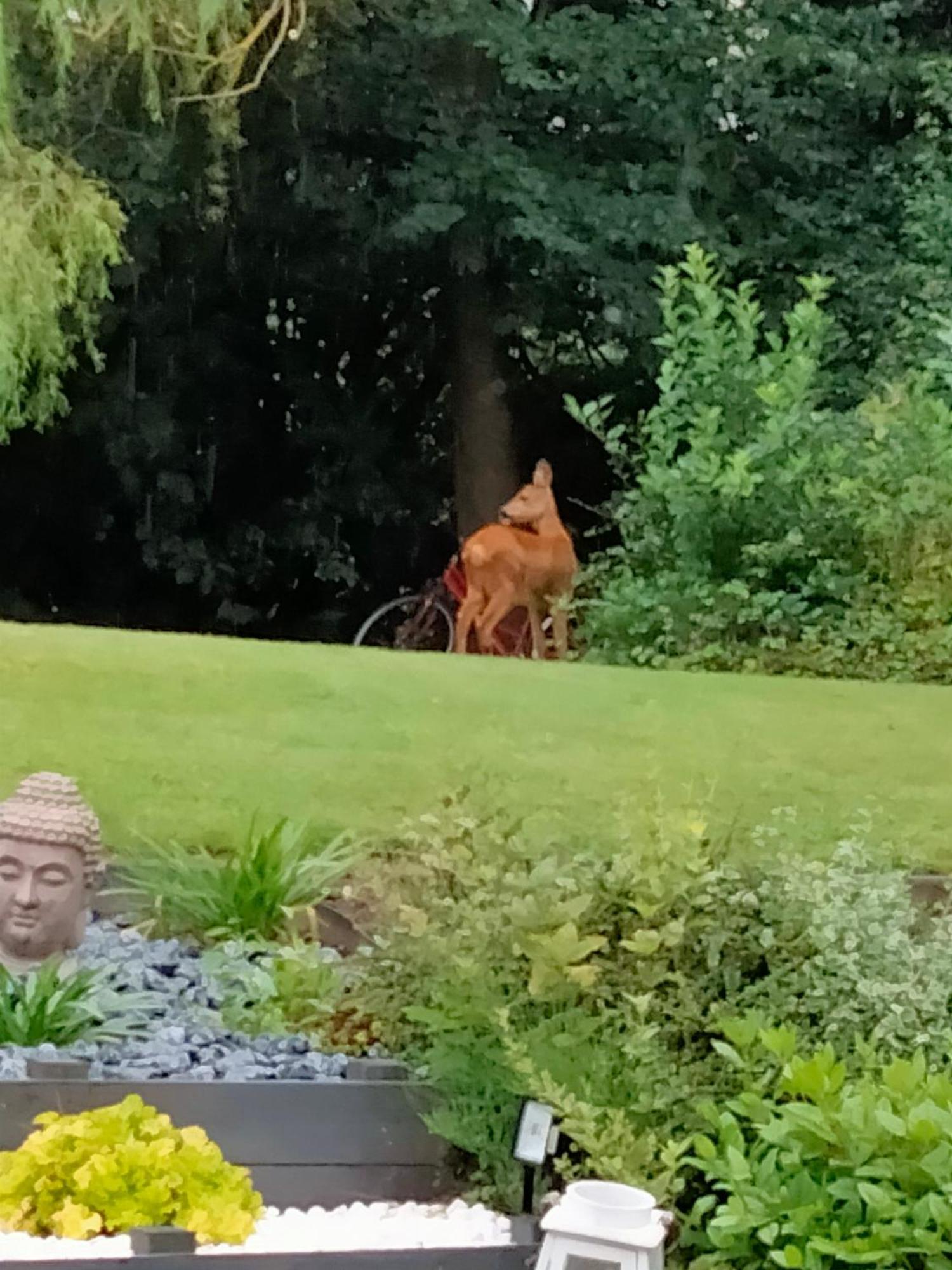 Le Grenier De Mamou Hotell Hesdigneul-les-Boulogne Exteriör bild